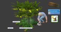 Sugarcane Bushes MOD This mod allows you to get a new harvestable resource like Sugarcane. This can be eaten on site by your horse. When you've harvested enough Sugarcane, you'll have the option to refine Sugarcane into Sugar Bags that can be used for cooking.