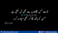 لذت لمس نگاہوں سے بھی مل سکتی ہے  حسن کو ہاتھ لگا کر کبھی میلا نہ کرو #urdu_quotes #zikarinsanka #kaif_Ahmed_Siddiqui