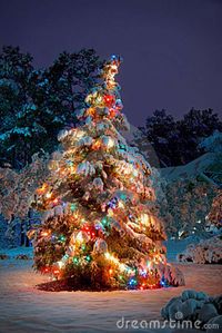 Snow-Covered Christmas Tree | Snow covered Christmas tree with colorful lights