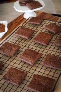 Sourdough Chocolate Graham Crackers - Cultured Food Life