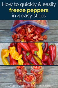 Freeze peppers from your garden or the farmers market and you'll save yourself lots of money this winter. There are only four steps to the process! #freezing #vegetables #gardening #harvest #preserving