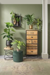 De combinatie van (donker)groen, (mango)hout en zwart metaal geven je interieur echt een botanische uitstraling! Maak het af met grote en verschillende soorten planten.