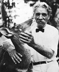 Albert Schweitzer (1875-1965) “We must fight against the spirit of unconscious cruelty with which we treat the animals. Animals suffer as much as we do. It is our duty to make the whole world recognize it. Until we extend our circle of compassion to all living things, humanity will not find peace.”