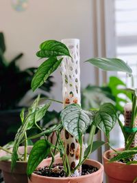 A 3D printed moss pole inspired by organic cellular structures found in mother nature.  Empowered by parametric 3D modeling and FDM printing technology, we design and tested numerous iterations of form, size, thickness and perforation to reach this optimal form that our plants love, and we are sure yours will do too. Printed with environmentally friendly bio-degradable PLA. Currently available in translucent clear, black, and white. This pole is suitable for small to medium-sized plant and pot.