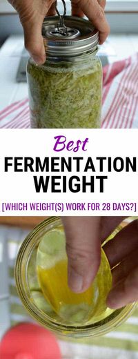 Discover the best fermentation weight for mason jar fermenting. 7 different weights tested over 28 days. Safely below the brine? No brine overflow? No mold? MasonTops Pickle Pebble? Nourished Essentials Easy Weight? Pickle Pusher by Ultimate Pickle Jar? Canning Buddies by ViscoDisc? Fermentation Lid by Kraut Source? Pickle Helix by Trellix & Co.?