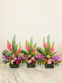 Tropical arrangements for event at UC Berkeley