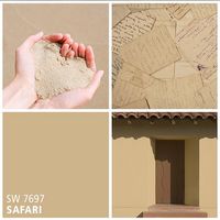 Sherwin-Williams neutral paint color - Safari (SW 7697)