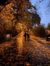 #autumnaesthetic #autumn #fall #night #FallEvenings