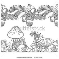 Seamless borders vector set in doodle style Floral, ornate, decorative, tribal, forest design elements Black and white background Grass, mushrooms, oak leaves, acorns Zentangle coloring book page