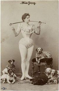 Vintage circus black and white photo of dogs with their female trainer, Miss Jenny