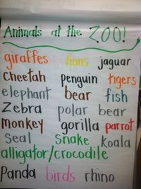 Zoo animal poster. Brainstorm animals we know from the zoo