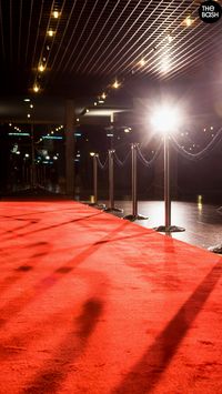 Roll out the red carpet and start planning your Oscars theme party! Incorporate star-studded ideas like an actual red carpet entrance✨ Click here for more Oscars theme party ideas🎉 #thebash #theoscars #oscarsparty  #awardshow #awardshowparty #theoscarsparty #oscarspartyideas #partyideas #theoscarspartyideas #watchparty #theoscarswatchparty #theoscarsviewingparty #awardsshowseason#oscarnightparty #oscarparty