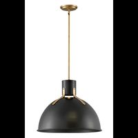 Hinkley Lighting 3483SK Argo Single Light 20" Wide Pendant | Build.com