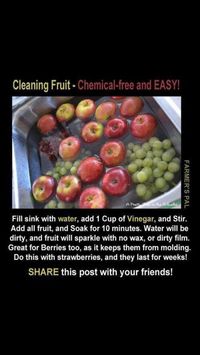 Clean and pesticide free fruits and veggies