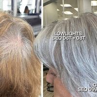 Redken on Instagram: ""Taking a client to their natural gray is like doing hair surgery. Each area needs something different according to the percentage of white gray to dark gray. Some areas may need more highlights and some may need more lowlights. It really is a customized service done per each client. I’ve done quite a few of these transformations and no two are the same." - @rashelleoyola  For this transformation, Rashelle included #ShadesEQSilverStrong shades 08T & 09T to tone her client to a healthy silver after full highlights 🩶"