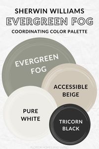 Evergreen Fog by Sherwin Williams: A Classic Moody Green