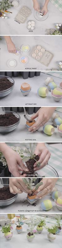 Celebrate the beauty and renewal of springtime with these egg-cellent, budget-friendly and absolutely adorable Egg Carton Springtime Party Planters. What you'll need: Carton(s) of eggs (amount dependent on the number of guests you will be hosting), Glass bowls, Small spoons, Scissors, Acrylic water-based paint, Small paper bowls, Paint brushes, Potting soil, Potted florals of your choice.