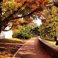 denison university campus autumn - Google Search