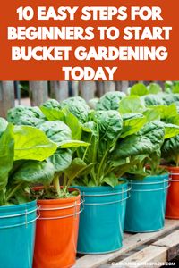 Discover 10 easy steps to help beginners start bucket gardening today. This beginner-friendly guide provides clear and concise instructions for setting up and maintaining a successful bucket garden. Learn how to choose the right buckets, prepare the soil, select appropriate plants, and provide proper care for your container garden. Whether you have limited space, lack gardening experience, or simply want a convenient way to grow your own plants, this guide will empower you to start your bucket gardening journey with confidence. Experience the joy of growing your own vegetables, herbs, or flowers, and enjoy the rewards of a thriving garden right at your fingertips. Get started on your bucket gardening adventure today with these simple and practical steps.