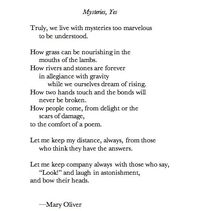 "Look!" | Mary Oliver