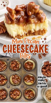 These mini pecan cheesecake bites have a buttery graham cracker crust, creamy cheesecake filling, and are topped with a caramel pecan drizzle.