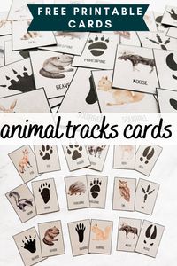 You can also play some really fun games with these cards which I have listed in this post. These animal tracks printable cards are such a great way to get your kids outside and enjoying the great outdoors. There are so many fun ways to use these free printable cards, they are perfect for the little explorer in your life!