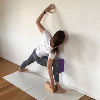 Iyengar Yoga Australia en Instagram: “#repost @iyogaproject Parsvakonasana with wall and bricks . . . . . #iyengaryoga #yogateacher #yoga #womenshealth #yogaprops…”