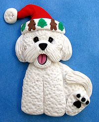 santahatbichon | Flickr - Photo Sharing!