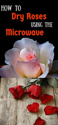 How to Dry #Roses Using the Microwave, cool #craft project - Pin this image so you can refer to it later