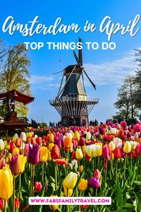 Amsterdam in April is a dream destination. Visit Keukenhof Gardens for tulip season, celebrate King’s Day, and enjoy boat tours along the city’s canals. This guide covers top things to do, the best places to visit, and essential travel tips to make your spring trip unforgettable.