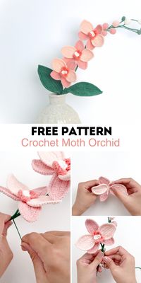 Create a stunning Moth Orchid with our detailed crochet pattern. This free PDF includes clear instructions for crafting a realistic tropical bloom.