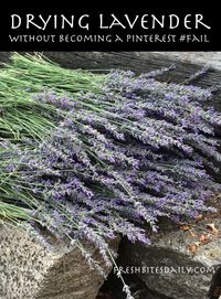 Drying your own lavender without becoming a “Pinterest #fail”