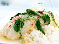 Coconut poached fish | Women's Weekly Food