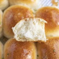 Dinner Rolls