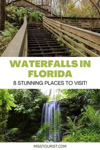 Check out these 8 stunning waterfalls in Florida for a breathtaking waterfall experience!