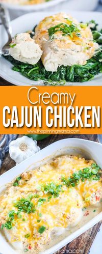 AMAZING One Dish Creamy Cajun Chicken • Easy Family Recipes