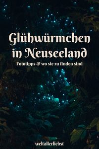 Wir verraten dir wo du besonders viele Glühwürmchen in Neuseeland findest, welche Abenteuer dich auf den Weg dahin erwarten und wie und wo du die Glühwürmchen in Neuseeland am besten fotografieren kannst.