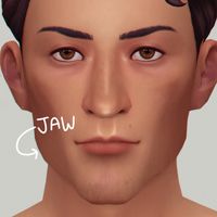 ​​​﻿​﻿﻿ts4presets