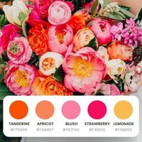 ☀️ Brighten up your designs with our new favorite color palette! Perfect for adding a pop of vibrant, summer-inspired color to any project. Whether you’re designing for a beach party, a summer wedding, or fresh branding, these hues will make your graphics stand out. Let’s bring your creative visions to life with a splash of color! #LucidPrintingCo #ColorPalette #DesignInspiration #SummerVibes #Tangerine #Apricot #Blush #Strawberry #Lemonade #GraphicDesign #AffordableLuxury #CreativeDesign #B...