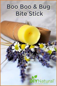 This DIY bug bite stick and boo boo stick is perfect for warm summer months. It soothes and protects skin and is great for little ones and grownups alike.