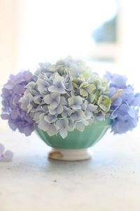 Hydrangea Arrangement