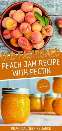 Step into the world of home canning with our old fashioned peach jam recipe. Discover how preserving fruit in jars is a delightful way to capture the essence of summer peaches. With pectin as a gelling agent, you can now make your own jar of sun-kissed sweetness to enjoy year-round.