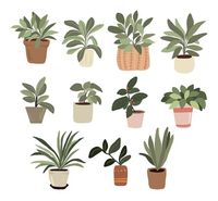 Premium Vector | Interior potted plants decor elements set sticker green thumb for bullet journal