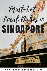 Singapore Chinatown Food Tour: Things You Must Eat in Singapore