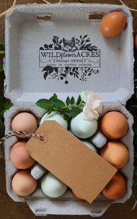 Custom Rubber Stamp - Egg Carton Stamp - Farm Stamp - Fresh Chicken Eggs - Chicken Custom Stamp - Fl