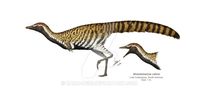 Alvarezsaurus