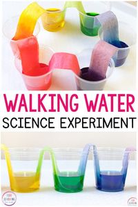 Try this rainbow walking water science experiment! This easy science activity is so much fun and perfect for students in elementary or preschool!