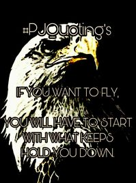 In times we have in our lifes with wishes, goals or dreams. A strive towards succes or a happiness for the better. To gain the luck or love in the life. But.. are struggling to get anywhere above or at the setpoint in mind to reach. For those.. we have to start first in the why we have the struggle that keeps us down instead of flying towards what we want to get in our flight of life. #quote #fly #PJQuoting's #motivations #inspirations #mindfulness #hold