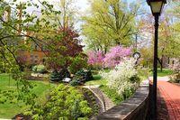 denison university campus spring - Google Search