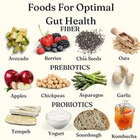 The diversity of microbiome in a female gut changes between the years of 40-45 as a woman goes through menopause  This can lead in MANY women to start experiencing an onset of gut issues ➡️ bloating ➡️ bowel changes ➡️ new food sensitivities ➡️ energy slumps ➡️ brain fog ➡️ mood swings  Looking after and prioritising gut health is important at any age but it becomes vitally important as we go through menopause due to the large natural shifts of bacteria  Our gut health will slowly continue to decline until end of life  #GutHealth #HealthyEating #WellnessJourney #FoodsForHealth #NutritionExperts #GutMicrobiome #HealingFoods #BalancedDiet #GutHealingRecipes #Probiotics #RealFood #DigestiveHealth #EatingClean #HealthIsWealth #GutHealthMatters